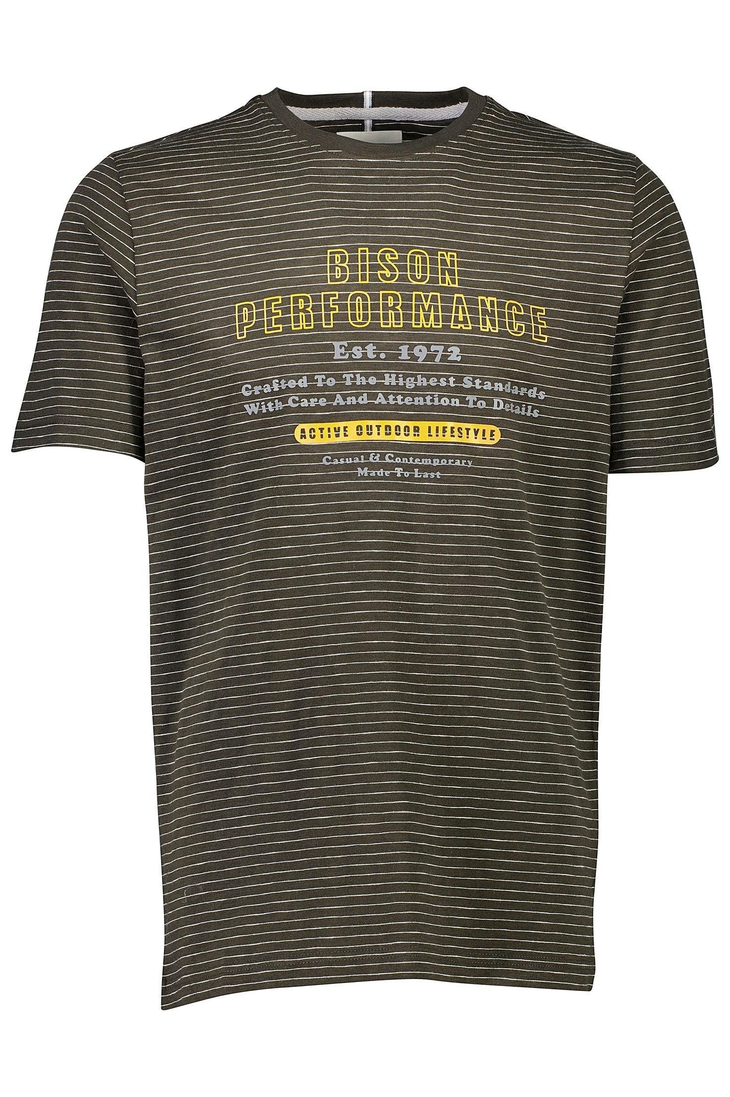 Bison - Stribet T-shirt m. print (XXL - 4XL) - HUSET Men & Women