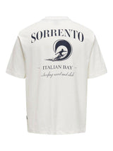 Only & Sons Milo - Coast t-shirt - HUSET Men & Women